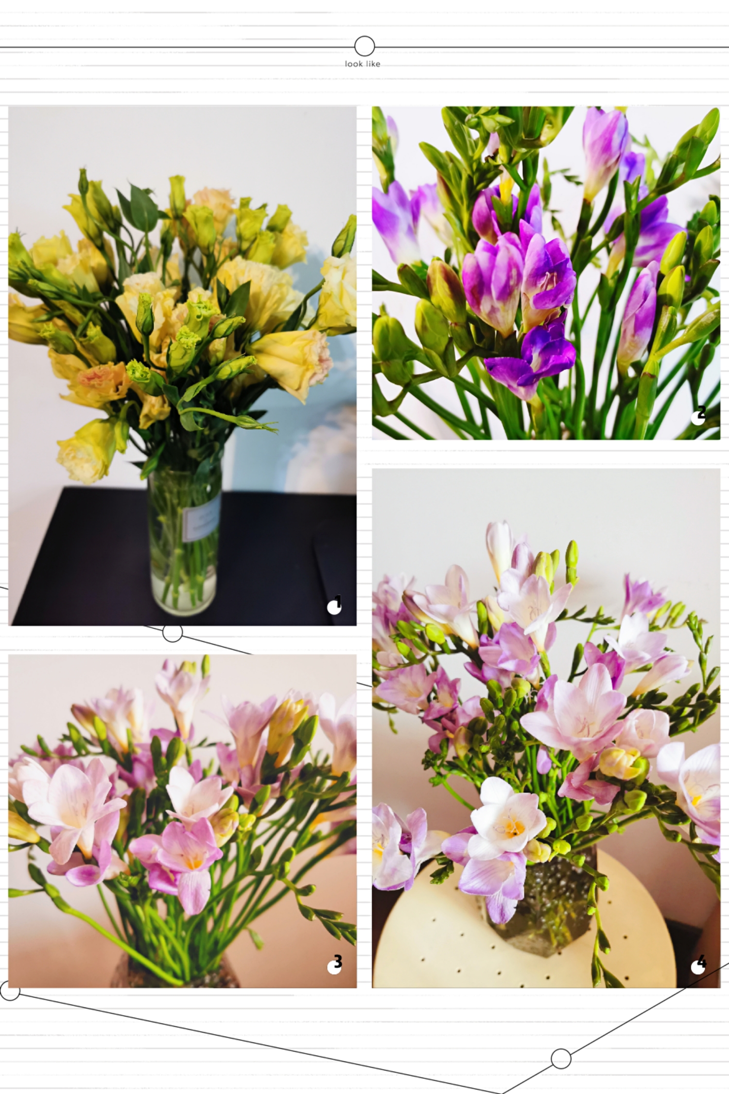 Happy Women’s Day | 戰(zhàn)疫時(shí)期，這個(gè)三八節(jié)，我們“e”起過！